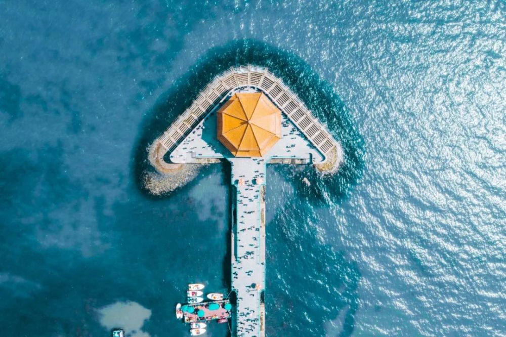  国王福克斯跻身助攻榜前三  